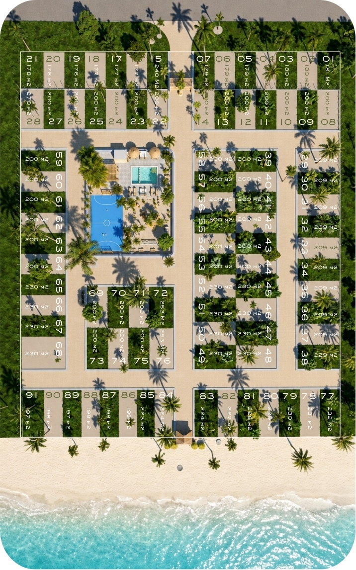 Plan Maestro Bahía Caimanero